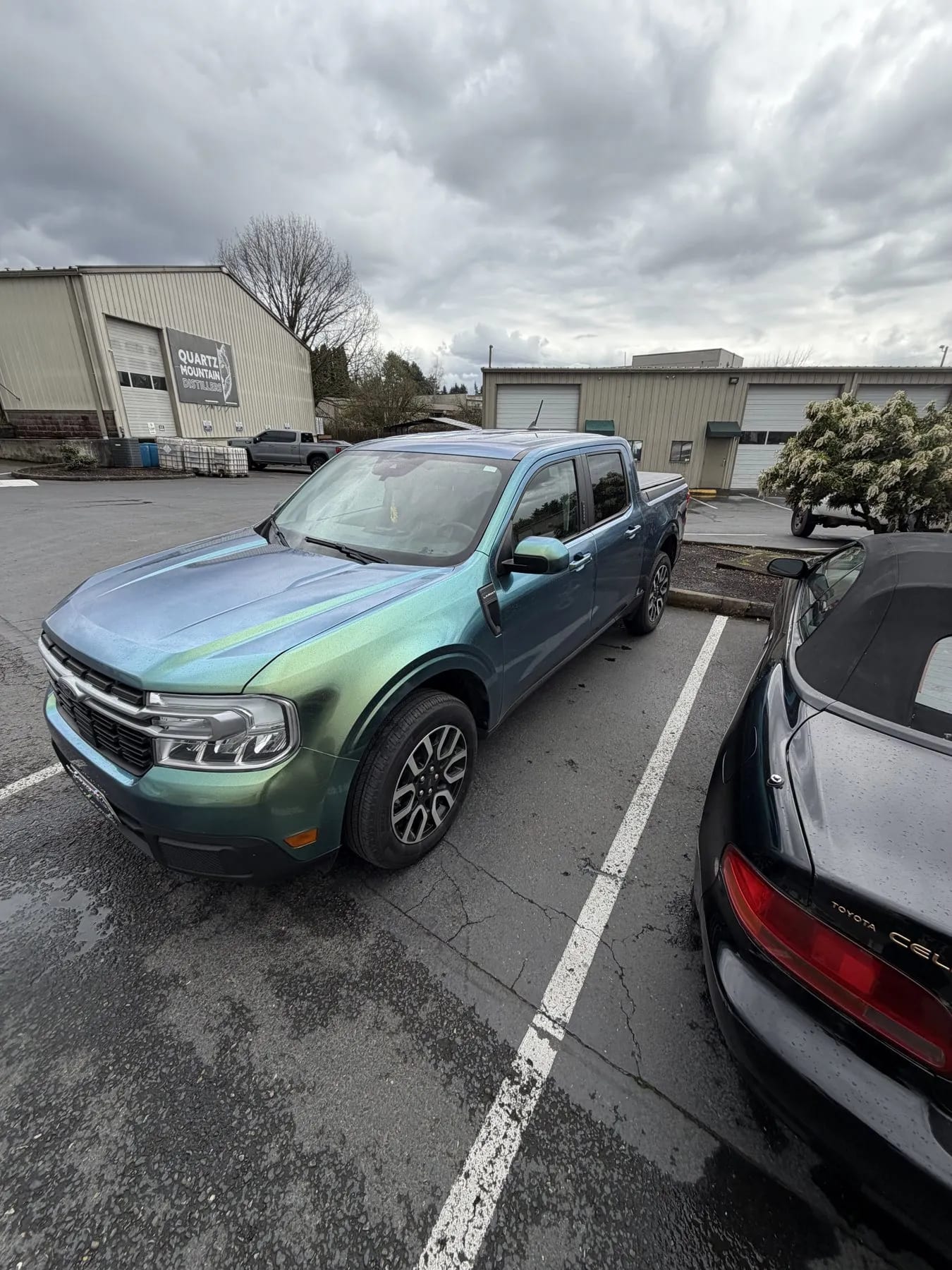 Vinyl Wrap vs. Paint: Which Is Right for Your Car?