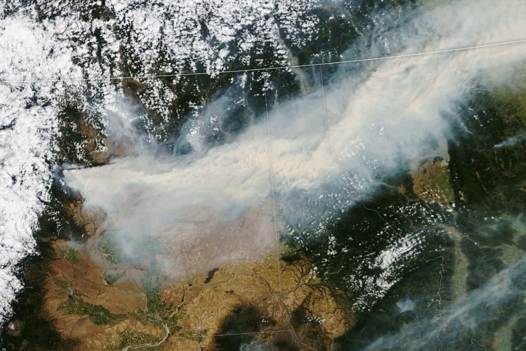 What Wildfire Smoke and Ash Are Doing to Your Car's Paint Right Now